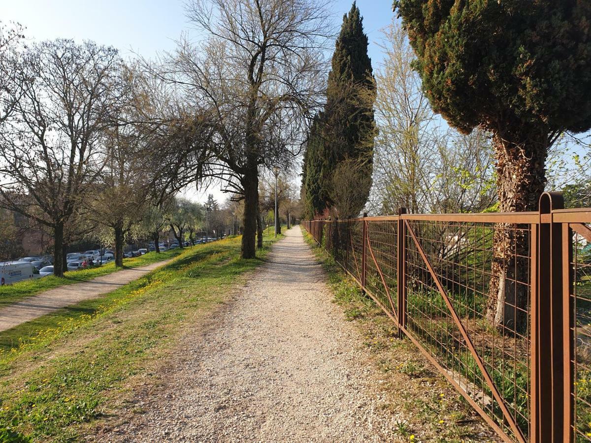 Divina San Zeno Appartement Verona Buitenkant foto