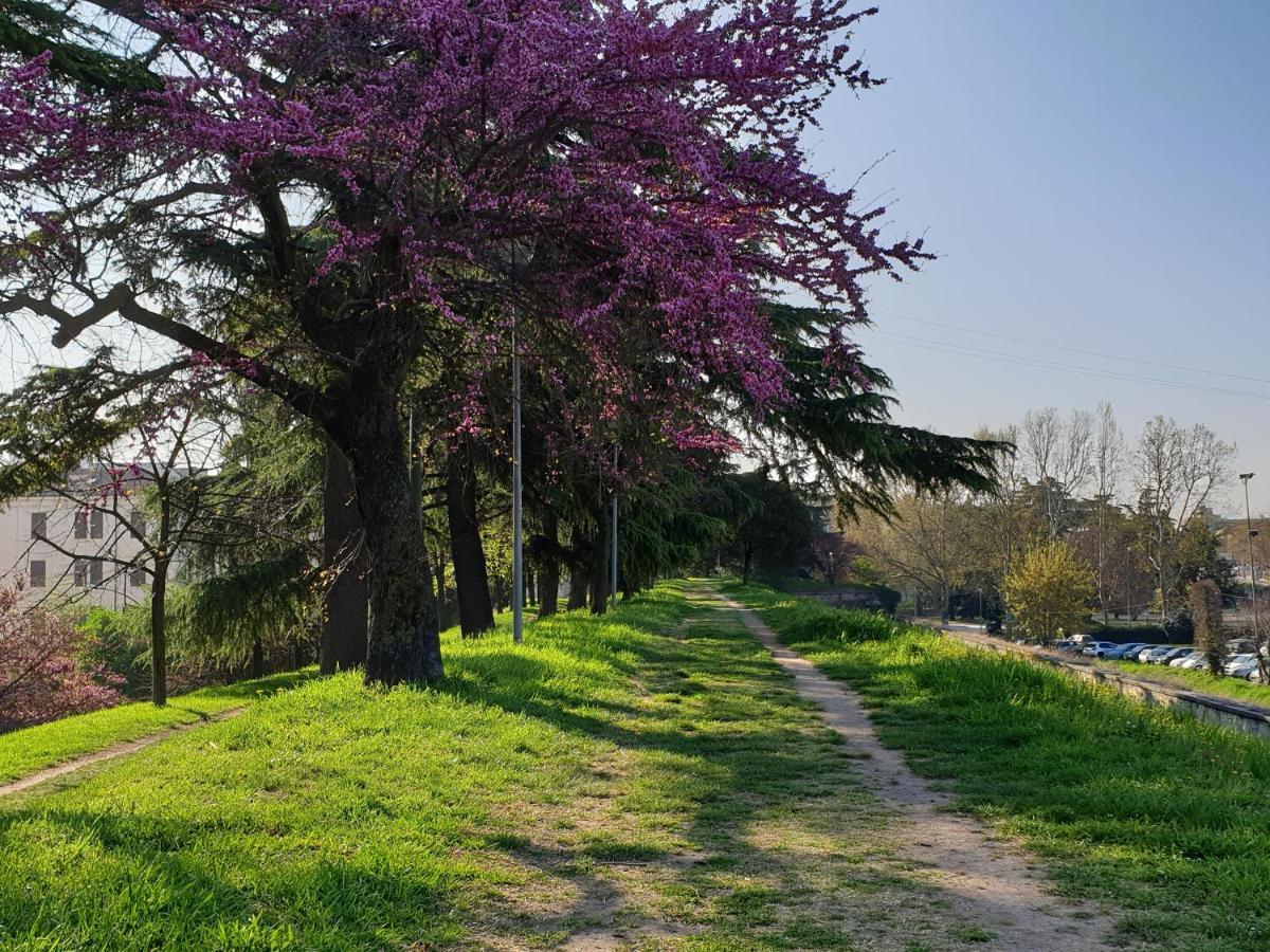 Divina San Zeno Appartement Verona Buitenkant foto